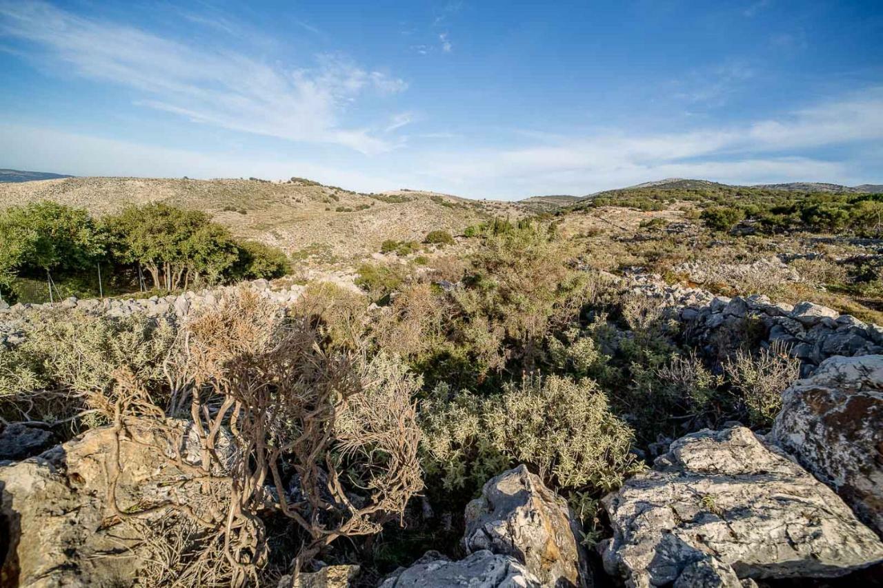 Art Studio Kefalonia Dhavgata Экстерьер фото